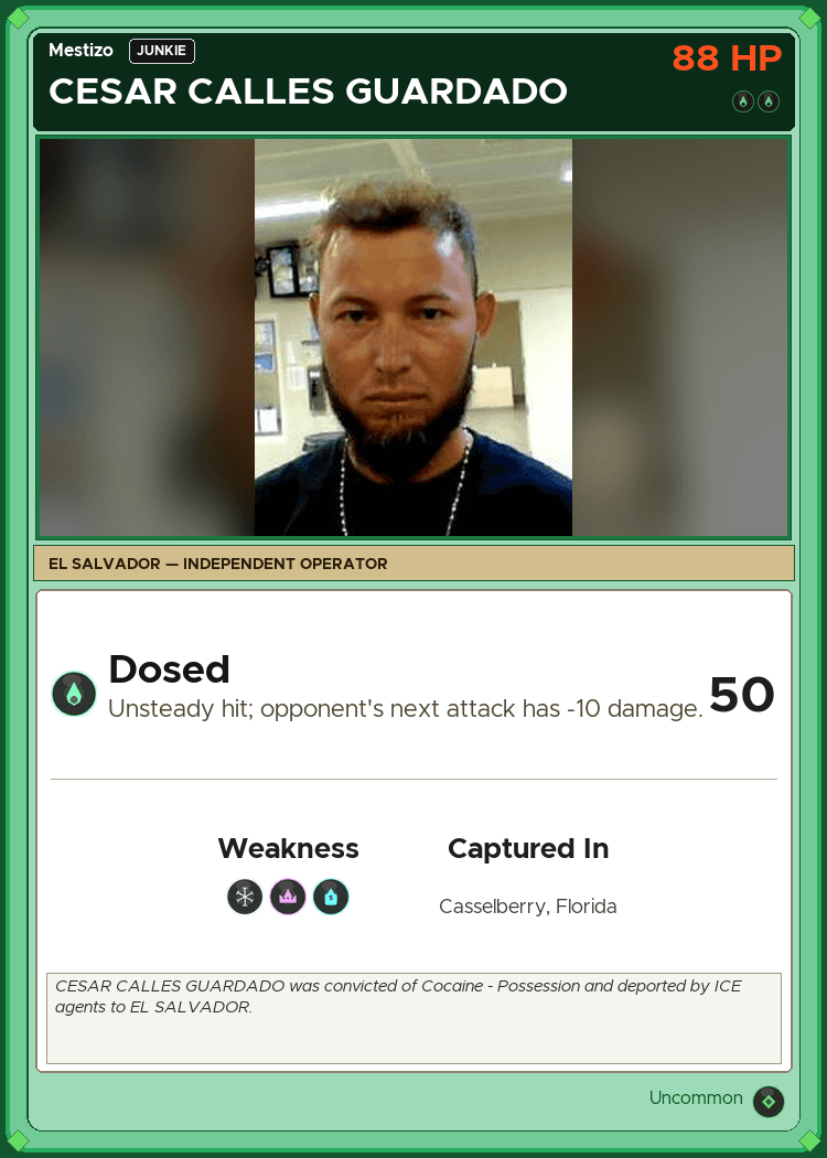 CESAR CALLES GUARDADO