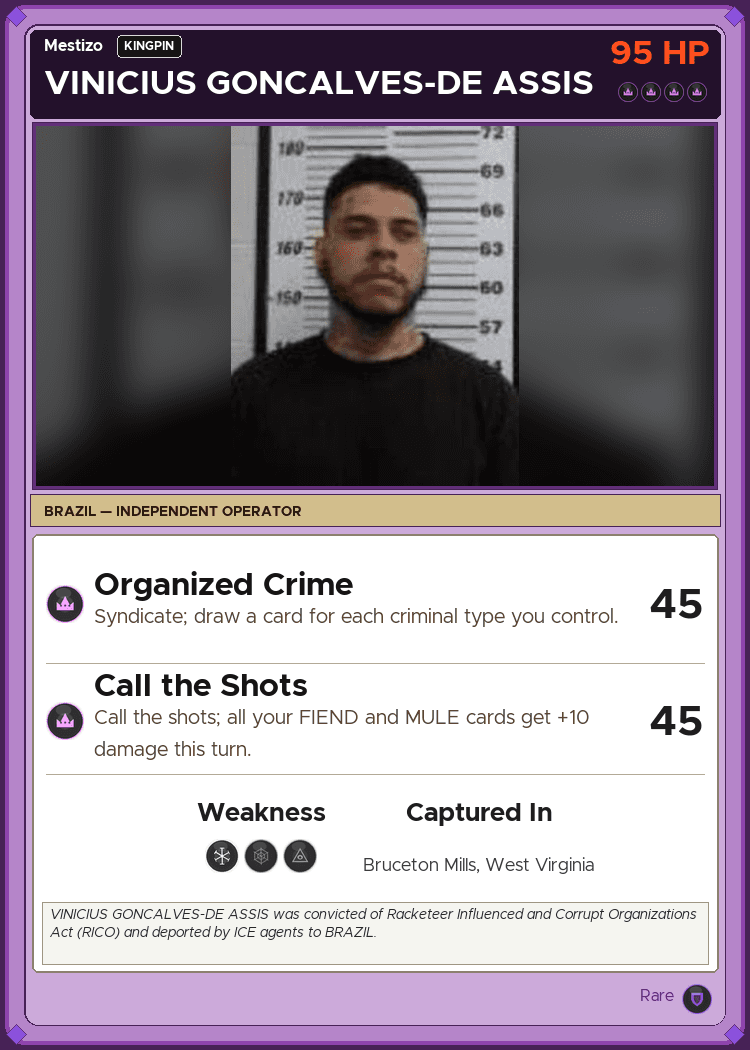 VINICIUS GONCALVES-DE ASSIS